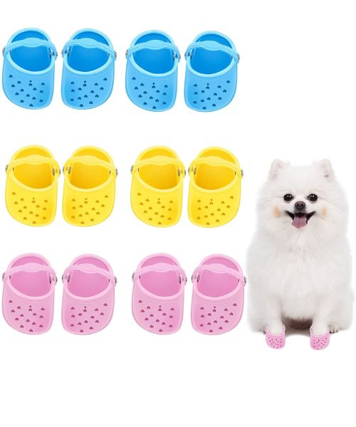 2022 Dog Crocs For Small Dogs