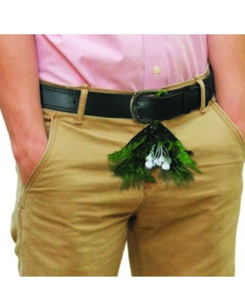 Belt Mistletoe