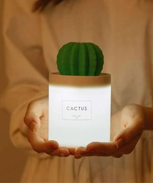 Cactus Humidifier Lamp