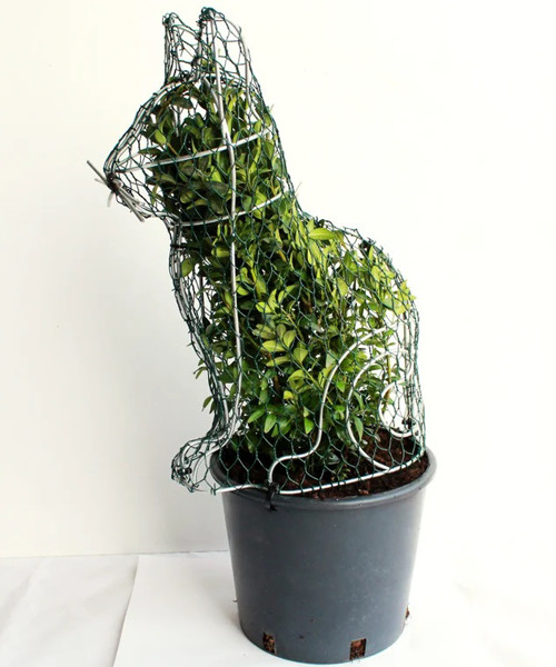 Cat Plant Frame