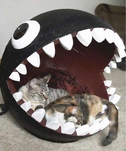 Chain Chomp Cat Bed