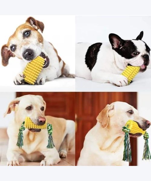 Corn Cob Dog Teeth Cleaning