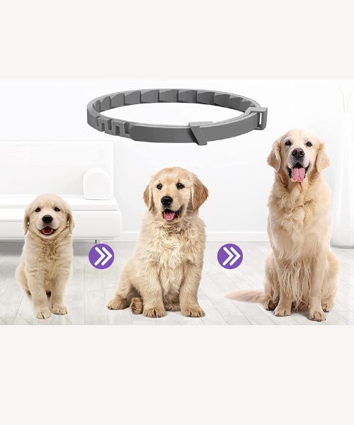 Dogs Calming Pheromones Collar