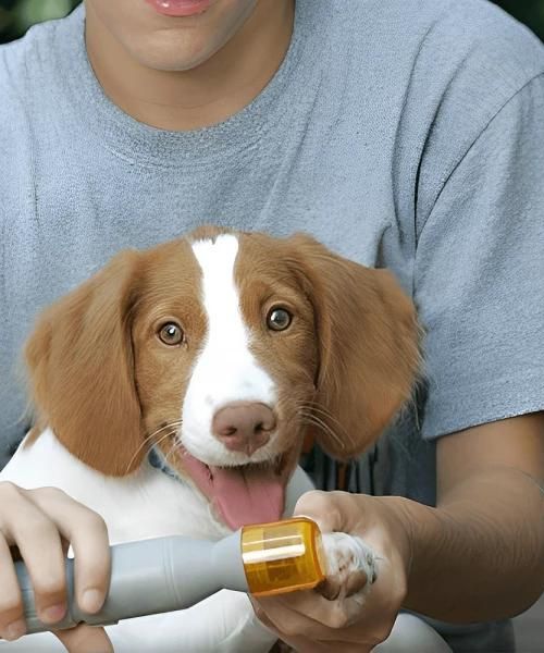 Electric Dog Nail Trimmer