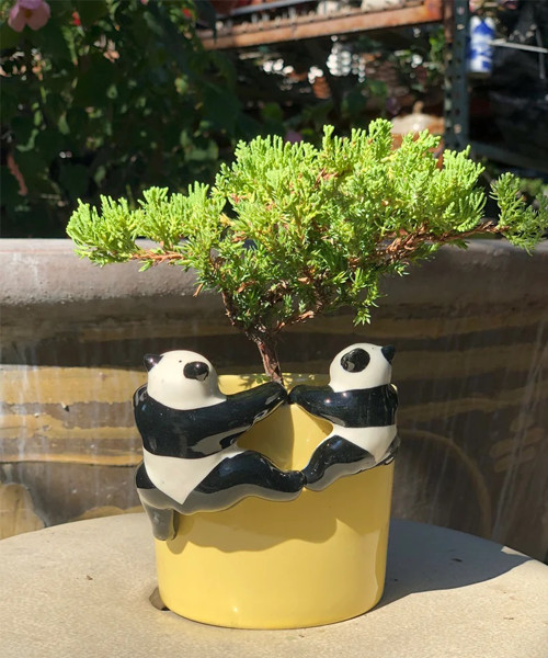 Hanging Miniature Panda Figurine