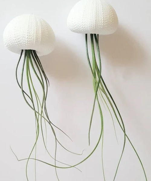 Gifts for Plant Lovers That Any Plant Enthusiast Will Value ...