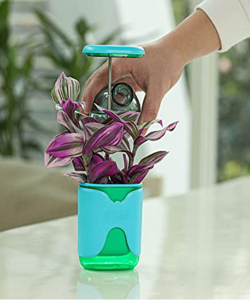 Meinno A Tiny Garden in Your Palm