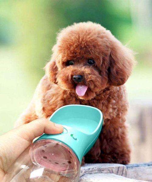 Portable Puppy Water Dispenser