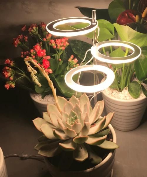 Stylish Angel Ring Grow Light