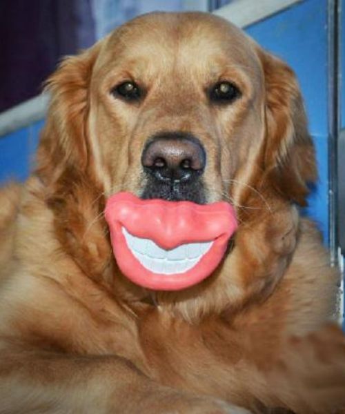 Big Lips And Smile Mouth Shaped Dog Toy