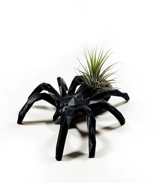 Black Spider Air Plant Holder
