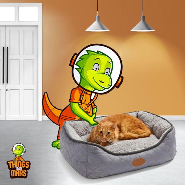 The Best Cat Beds for Your Feline Companion