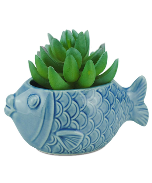 Ceramic Succulent Seashell Planter
