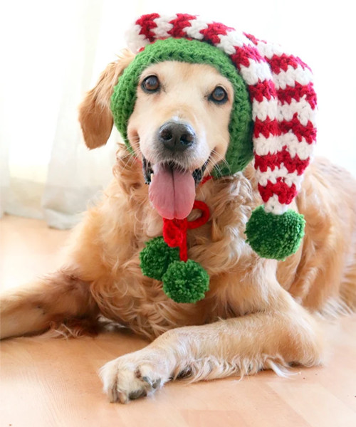 Christmas Elf Hat