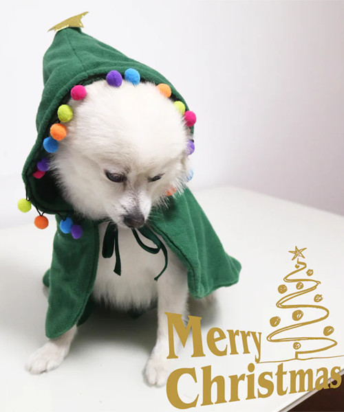 Christmas Santa Hat Cloak
