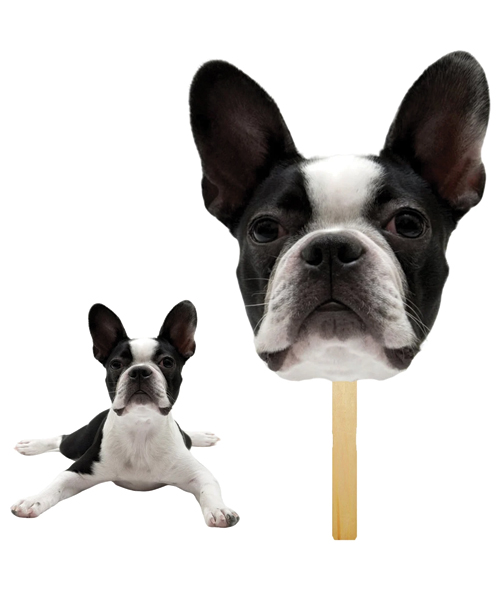 Custom Pet Stick