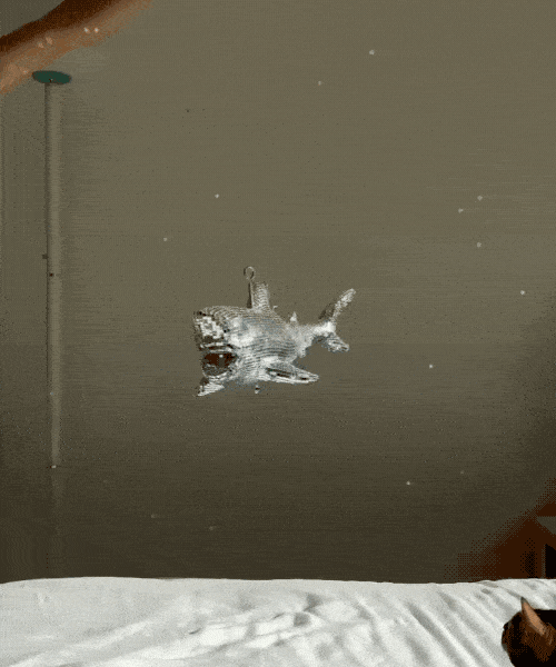  Disco Ball Shark