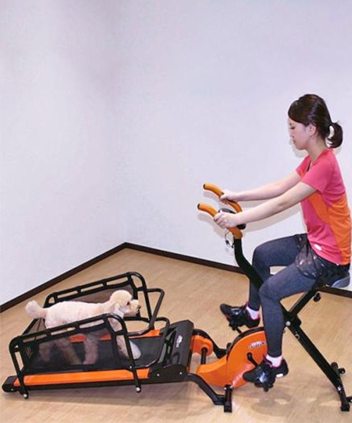 Dual Workout Machine