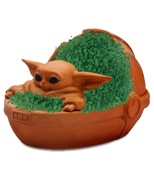 Star Wars Child Chia Pet