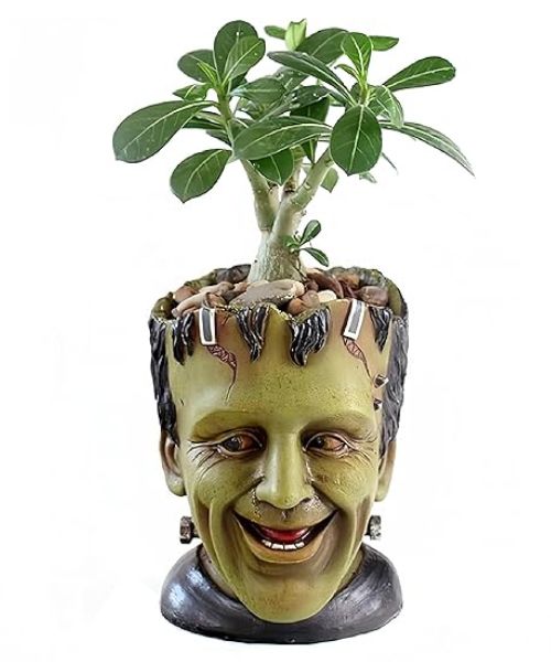 Frankstein Face Flower Pot
