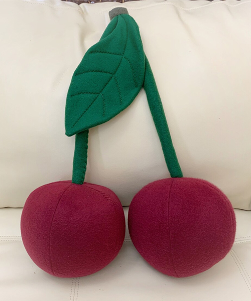 Fruit Pillow