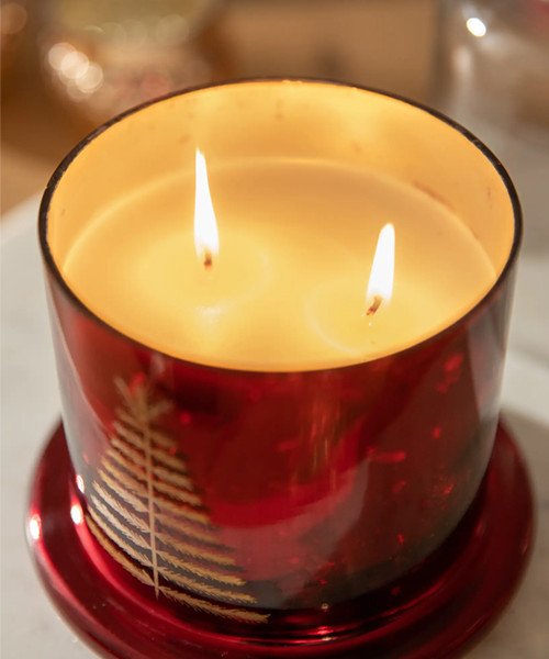 Gilded Tree Glass Cloche Scented Candle