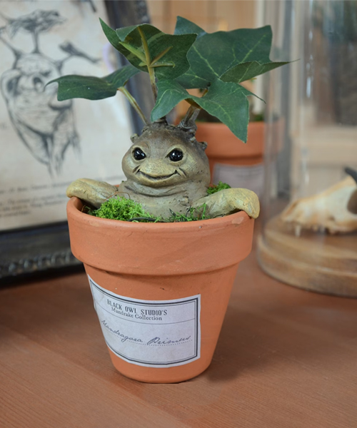 Harry Potter Inspired Mandrake Planters - Right From The Wizarding World