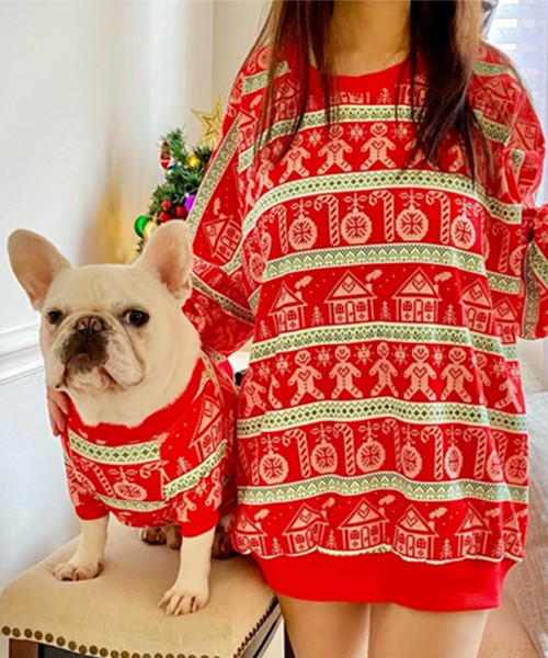 Matching Christmas Ugly Sweater