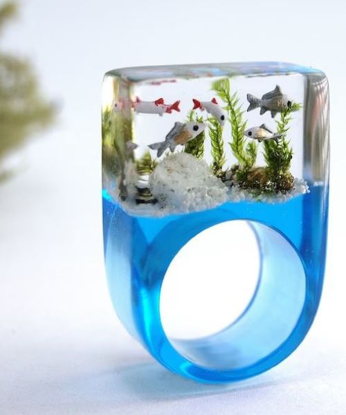 Miniature Aquarium Ring