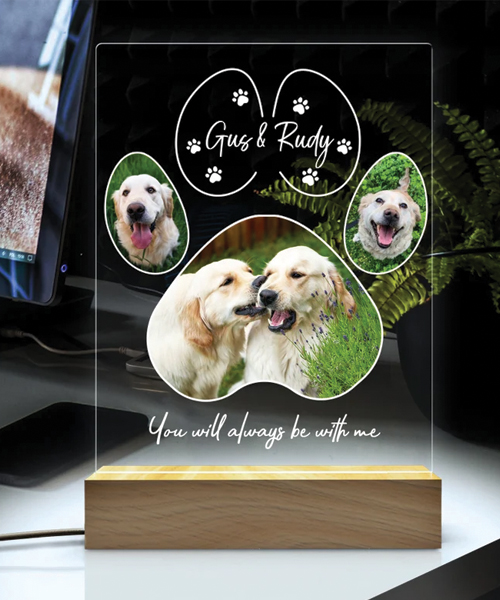 Gift Ideas For Pet Lovers