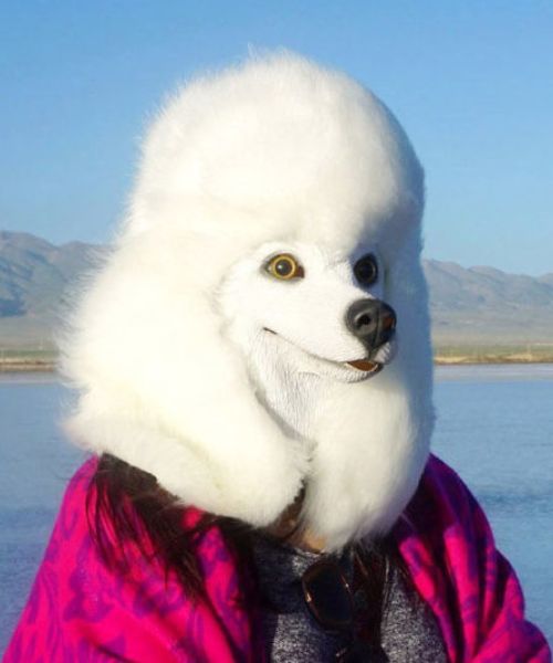 Realistic Dog Head Masks