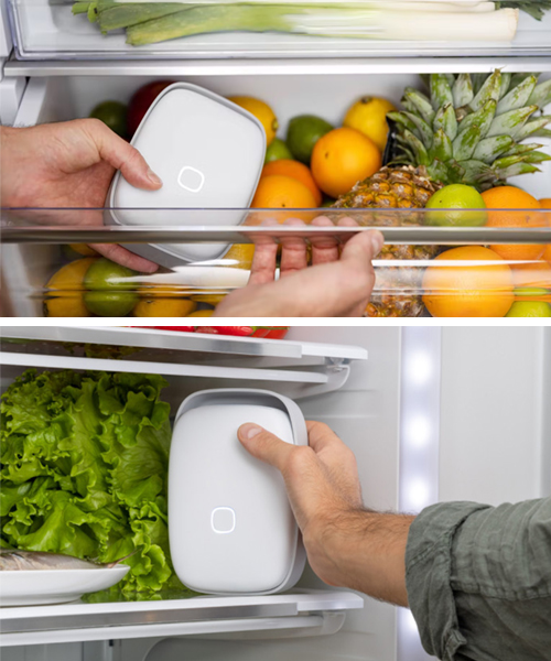 Shelfy: A longer Shelf Life For Food