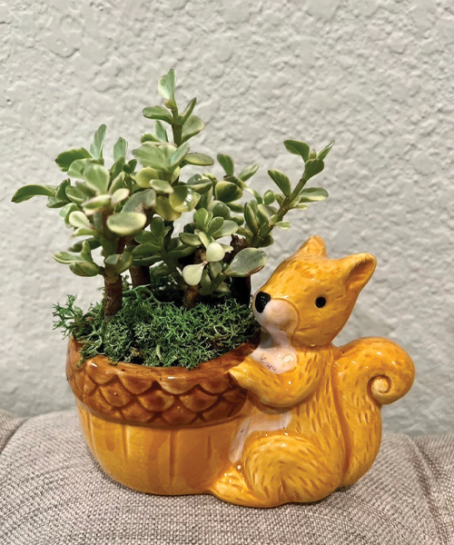 Squirrel Ceramic Animal Planter