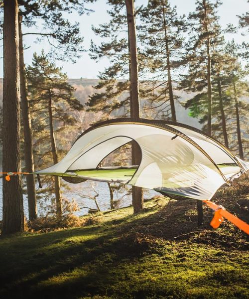 Stingray Tree Tent