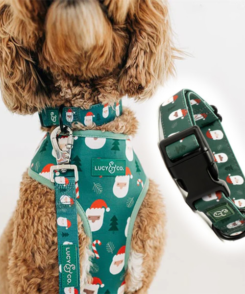 The Santa Land Collar