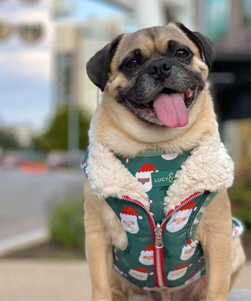 The Santa Land Reversible Teddy Vest