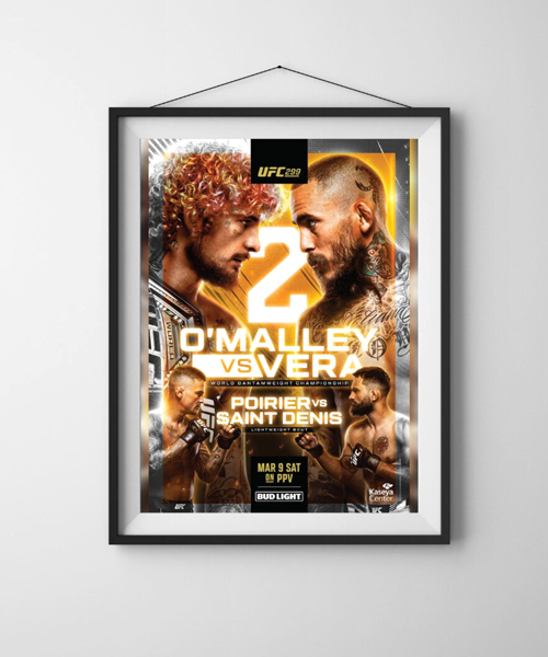 Top UFC Gifts for True UFC Fans to Adore!